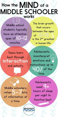 Infographic of How the Mind of a Middle Schooler Works